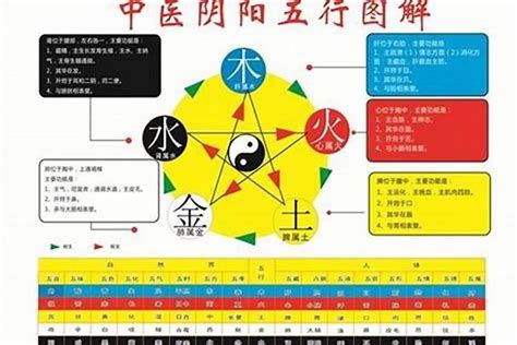 五行分数|八字算命 五行分数 (八字五行强弱计算方法)